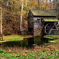 Autumn at Cuttalossa